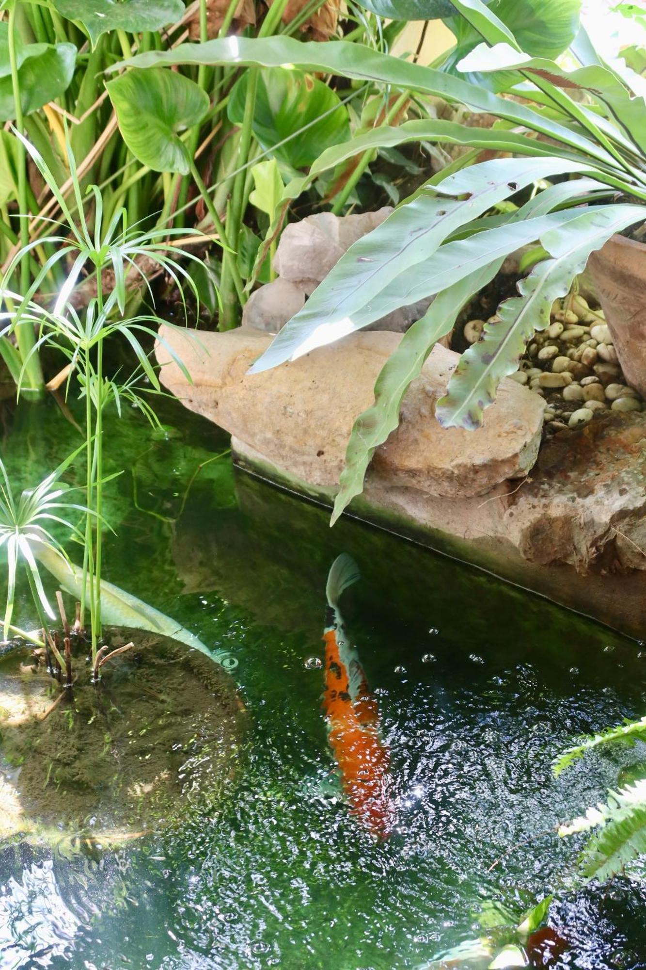 Banjai Garden Guesthouse Chiang Mai Ngoại thất bức ảnh